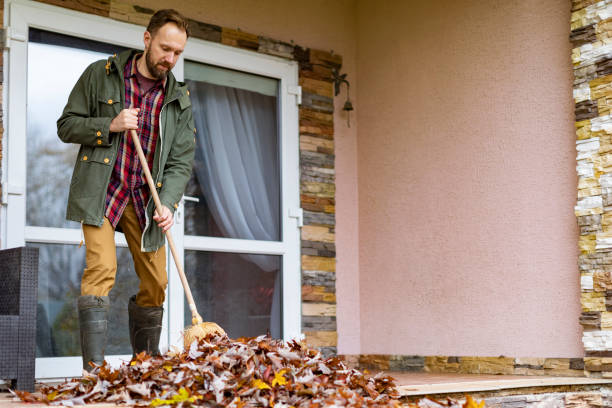 Best Yard Cleanup Services  in Cumberland Head, NY